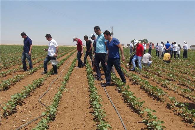 Ziraat mühendislerine uygulamalı eğitim verildi