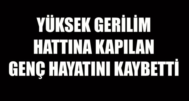 Yüksek gerilim hattına kapılan genç hayatını kaybetti