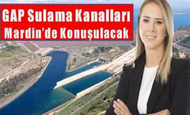 GAP Sulama Kanalları Mardin´deki Toplantıda Konuşulacak