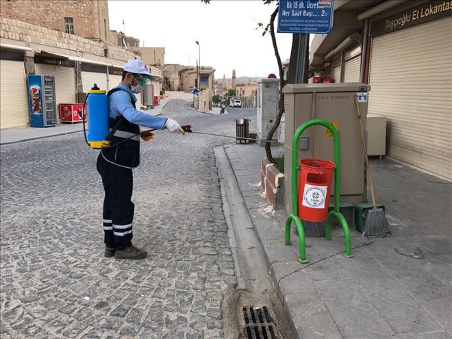 Haşere ile Mücadelede Başarılı Çalışmalar Yapılıyor  