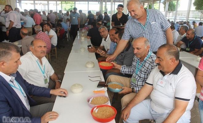 Çiftçilerden TMO´ya buğday fiyatı tepkisi