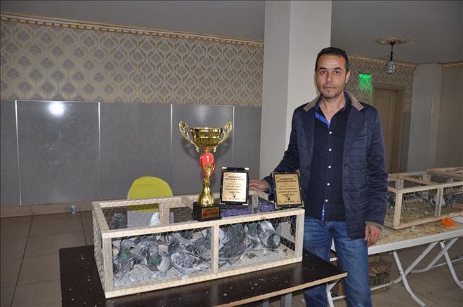 Güvercin severler Kızıltepe´de buluştu