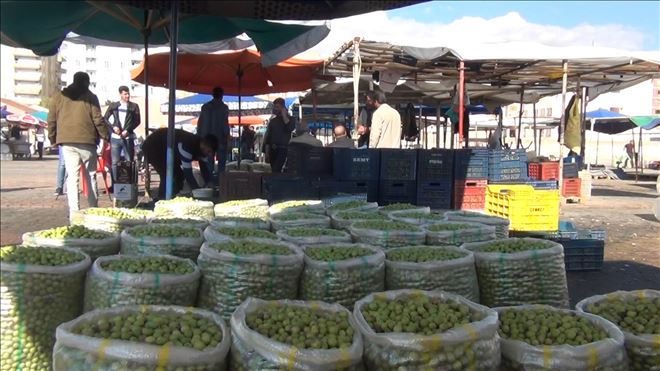 Zeytin esnafı kapalı ve modern bir alan istiyor