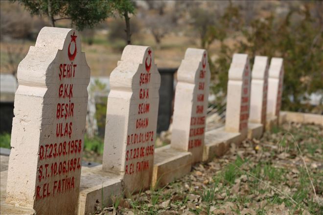 Büyükşehir Belediyesinden Dargeçit´teki şehitliğe bakım