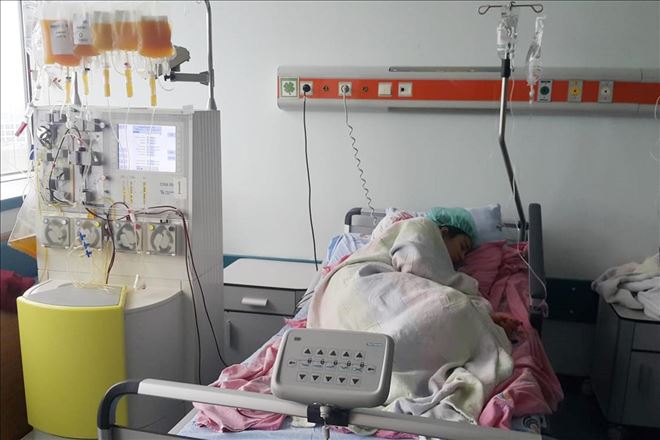 Sena´ya nakil için karaciğer bulundu