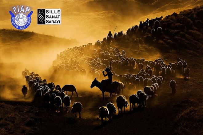 Mardinli fotoğraf sanatçısı dünya ikincisi oldu