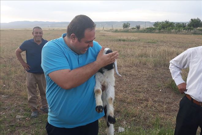 Kuyuya düşen oğlak kurtarıldı