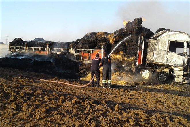 Saman yüklü TIR´da çıkan yangın arazileri küle çevirdi