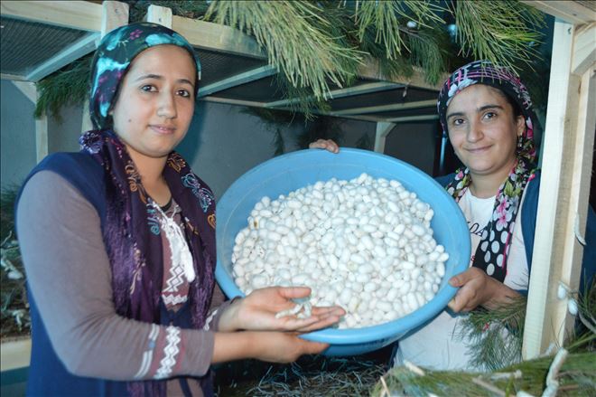 İpekböceği kadınların yüzünü güldürdü
