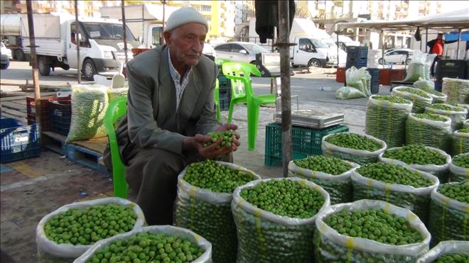 İlçemizde zeytin pazarı kuruldu