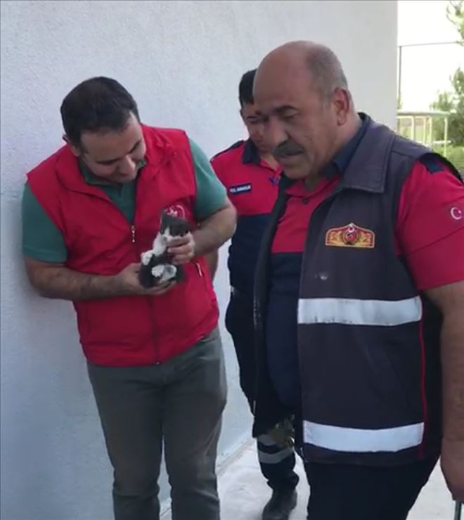 Yavru kedi sıkıştığı yerden 2 gün sonra kurtarıldı