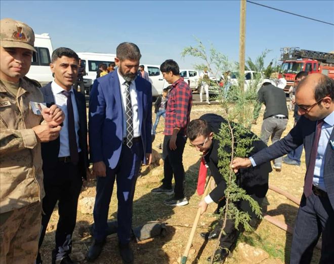 Derik geleceğe nefes oldu