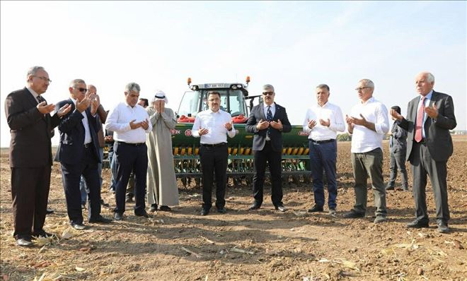 Kaymakam Çam buğday ekimine katıldı