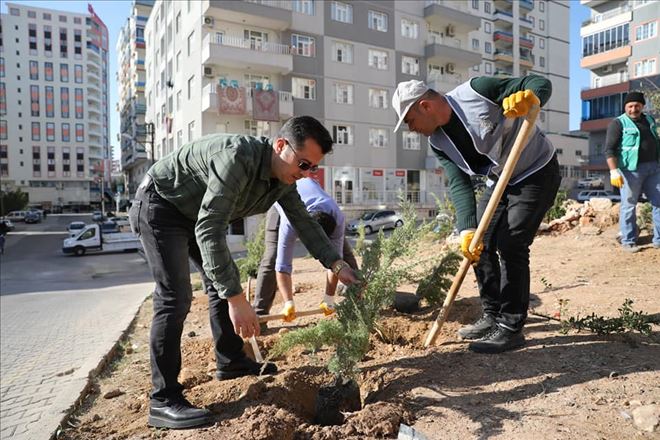 Tutaşı: Yeşil bir Artuklu hedefiyle çalışmalarımız başladı