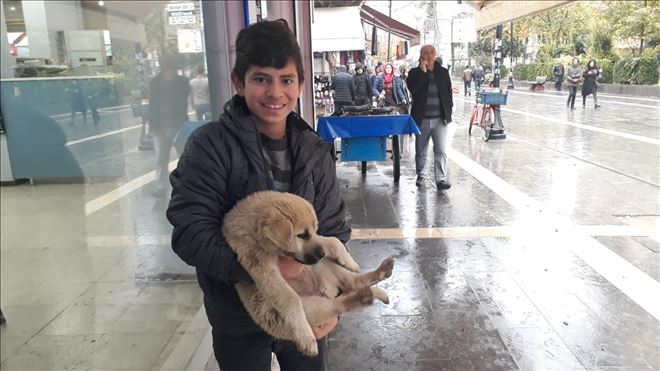 Kızıltepeli çocuk yiyeceğini sokak köpeği ile paylaştı