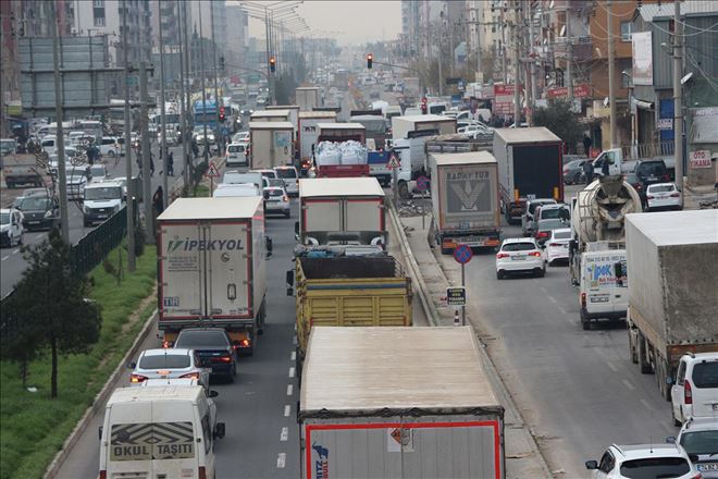 Öter: Başka canlar tekerlekler arasında ezilmesin