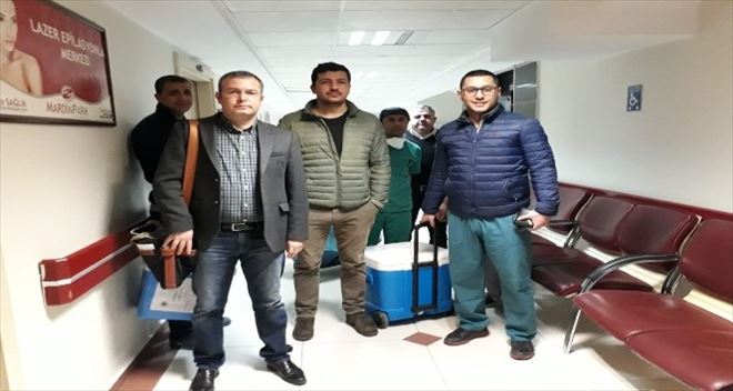 Annelerinin organlarını bağışlayarak 3 hastaya umut oldular