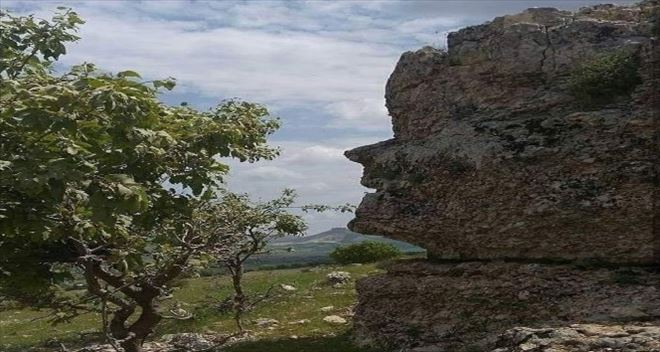 Bu kaya insan yüzünü andırıyor