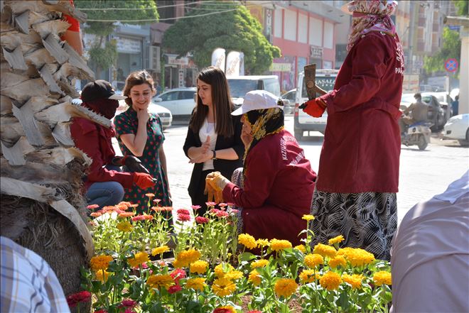 Üretilen çiçekler dikilmeye başlandı