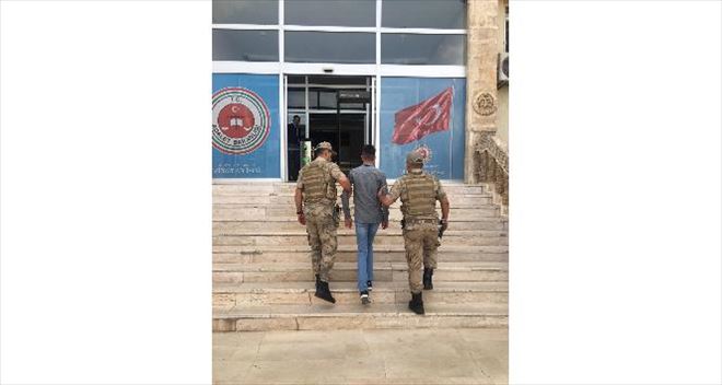 Telefon hırsızı güvenlik kamerasına yakalandı