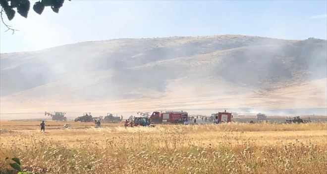 Nusaybin´de çıkan yangın ekinlere sıçradı