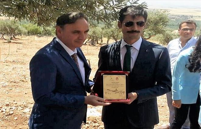 Derik zeytinyağına İngiltere´den ödül