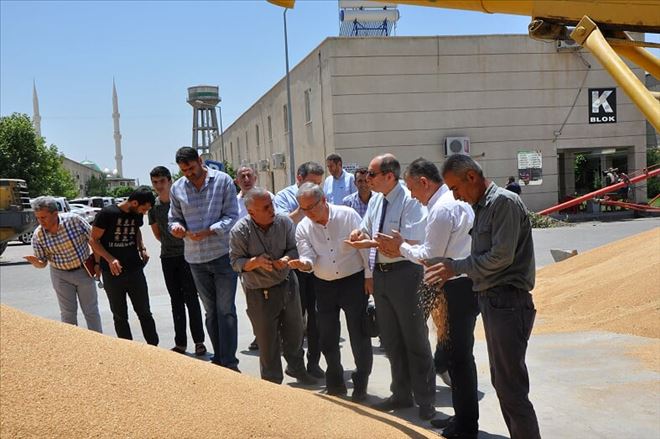 Doğal Afetler Daire Başkanı´ndan Hububat Merkezine  ziyaret