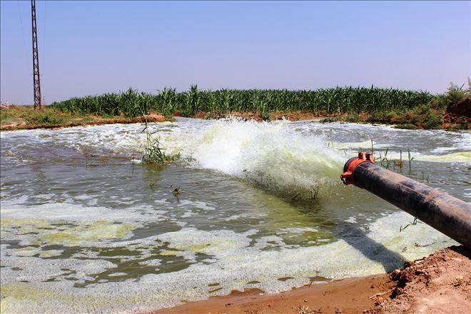 Dicle Elektrik´ten tüketicilere ?Tasarruflu kullanın´ çağrısı