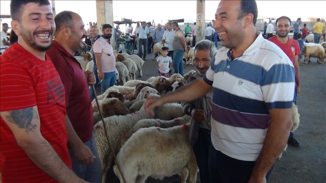 Kızıltepe´de kurban pazarlarında sıkı pazarlıklar yaşanılıyor