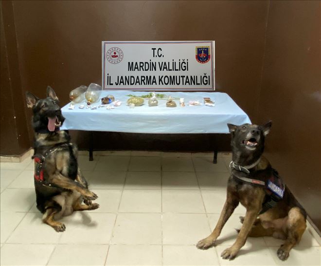 Torbacılara esrar temin eden şüphelilerin evine jandarma baskını