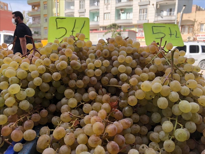 Kızıltepe´de mezrone üzümüne yoğun ilgi