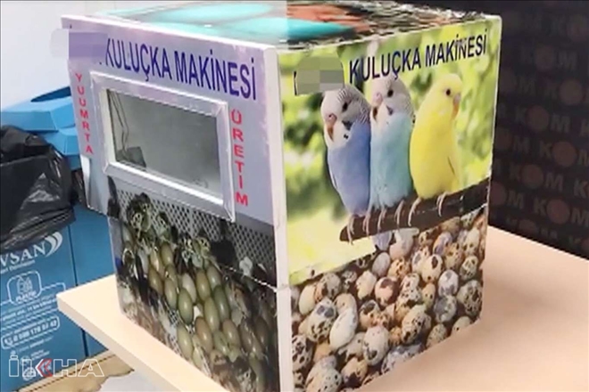 Kuluçka makinesinden gümrük kaçağı sigara çıktı 