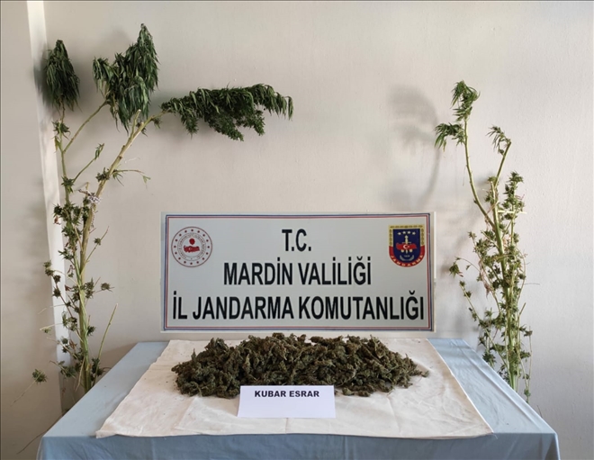 Mardin´de esrar operasyonu