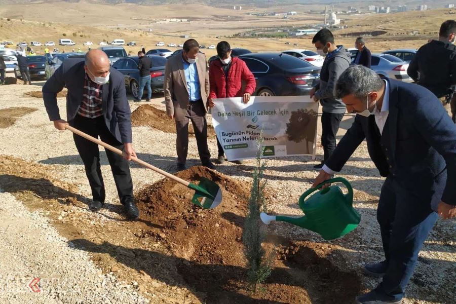 Mardin’de fidan dikme  seferberliği