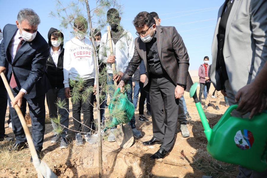  Kızıltepe’de fidanlar toprakla buluştu