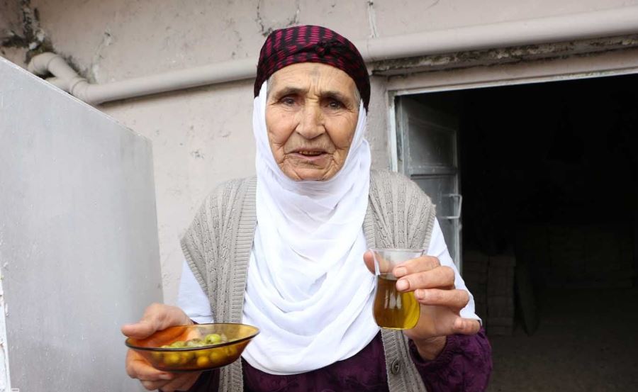 Derik’te vatandaşlar  ilçelerine zeytin fabrikası istiyor