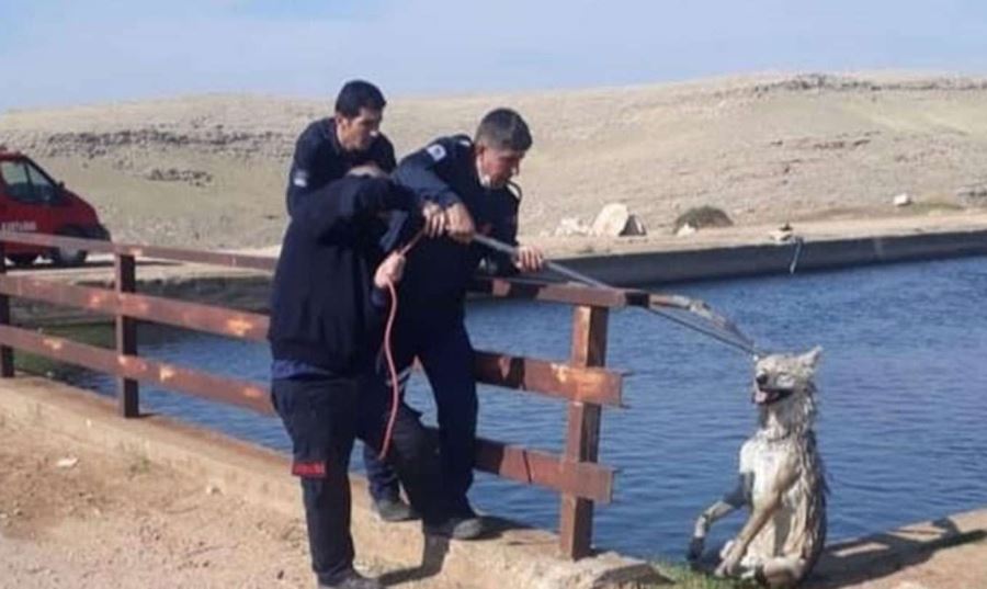 Nusaybin