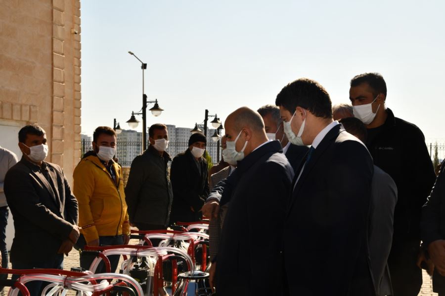 Mardin