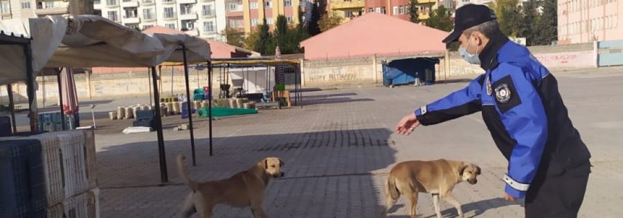 Sokaktaki Dostlarımız Unutulmadı