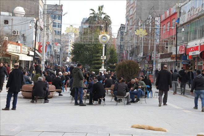 Kızıltepe´de Şubat ayında bahardan kalma bir gün