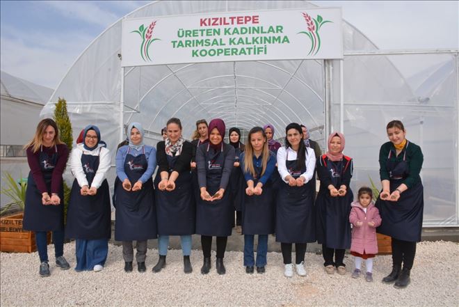 Kızıltepe´de kadınlar 8 Mart Dünya Kadınlar Günü´nde kooperatif kurdu