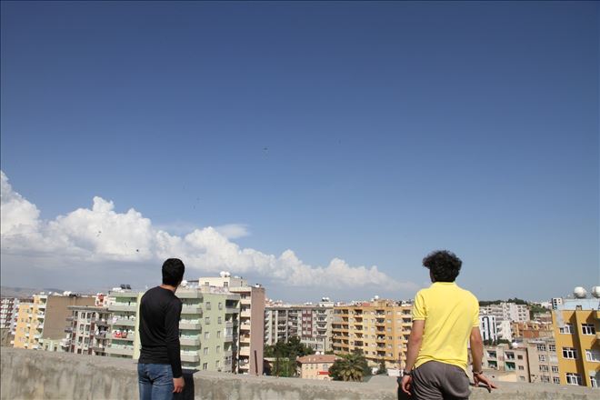 Qoser TV´nin uçurtma festivali büyük ilgi gördü