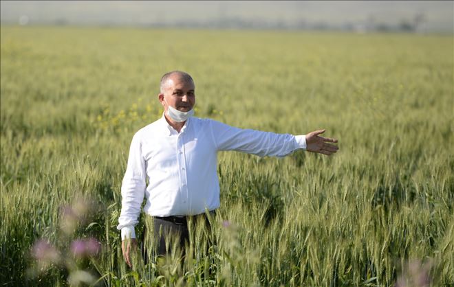 Öter´den DEDAŞ açıklaması