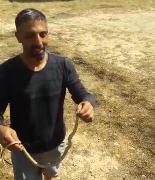 Evinde yakaladığı yılanı tekrar doğaya bıraktı