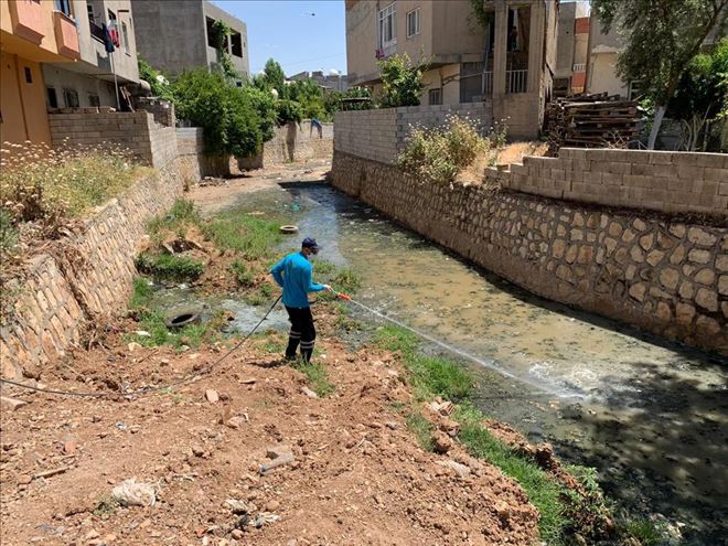 Mardin Büyükşehir Belediyesinden haşereye karşı mücadele