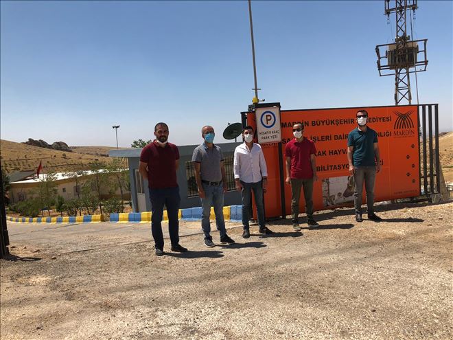Mardin Barosu Hayvan Barınağı raporunu açıkladı