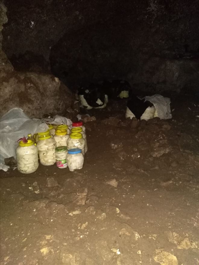 Midyat´ın antik mağara peynirine yoğun ilgi