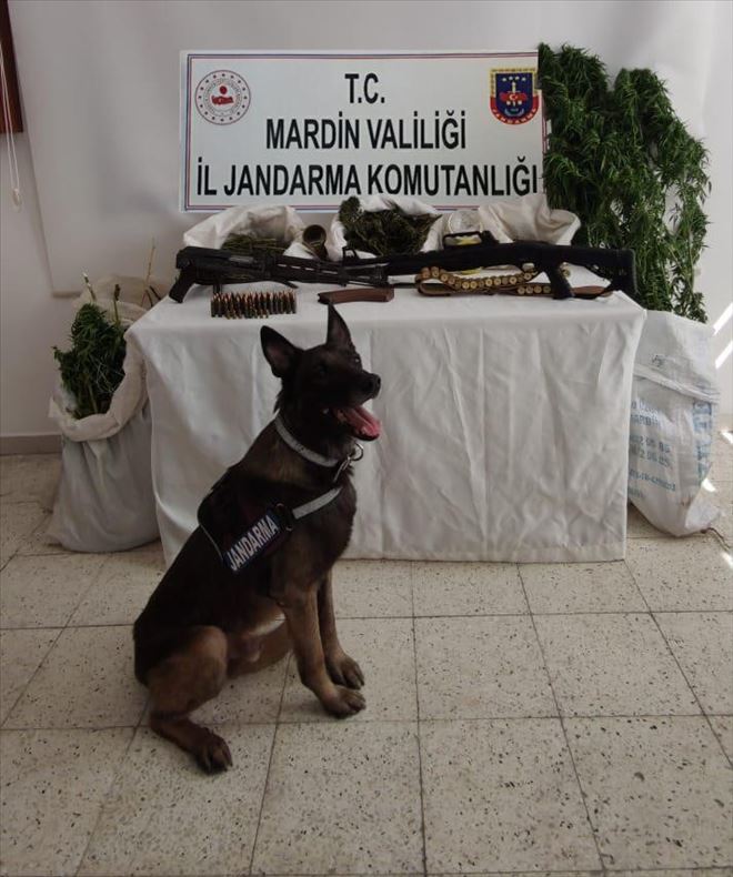 Artuklu´da kaleşnikof ve kubar esrar ele geçirildi