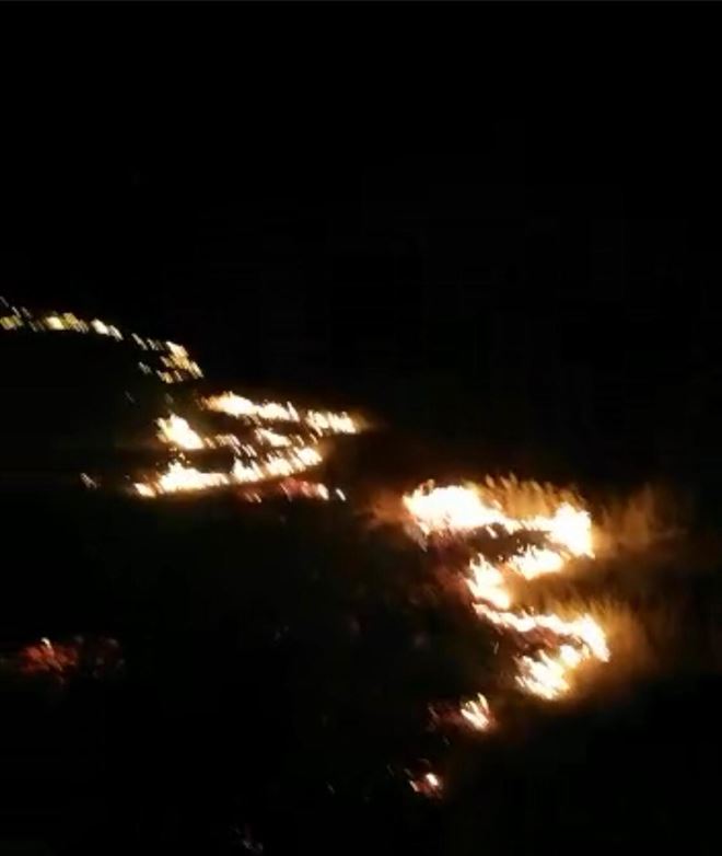 Kızıltepe´de ağaçlık alanda çıkın yangın gece boyunca devam etti