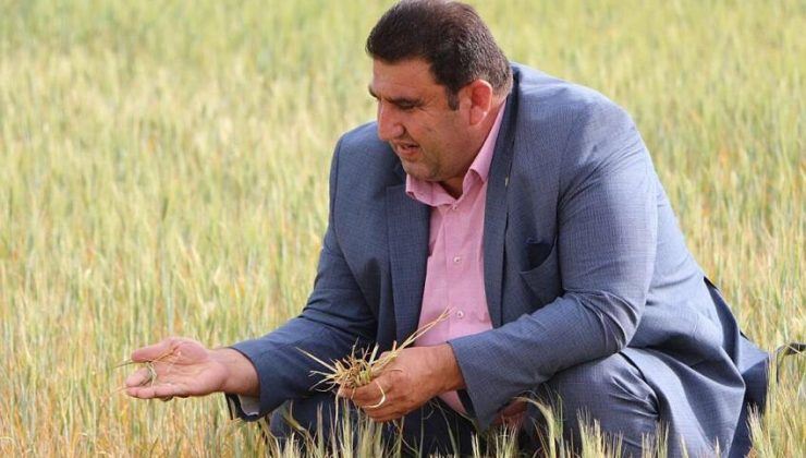 “1 litre mazot almak için yaklaşık 3,3 kilo buğday satmak gerekiyor”
